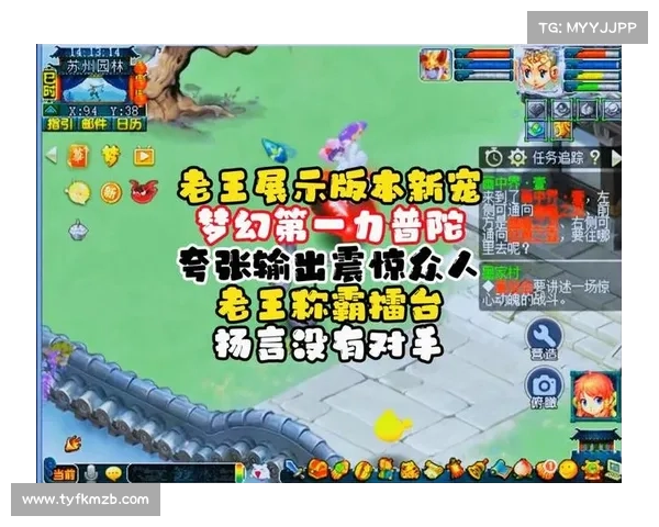 格斗江湖宠物全攻略：进阶之路，称霸擂台