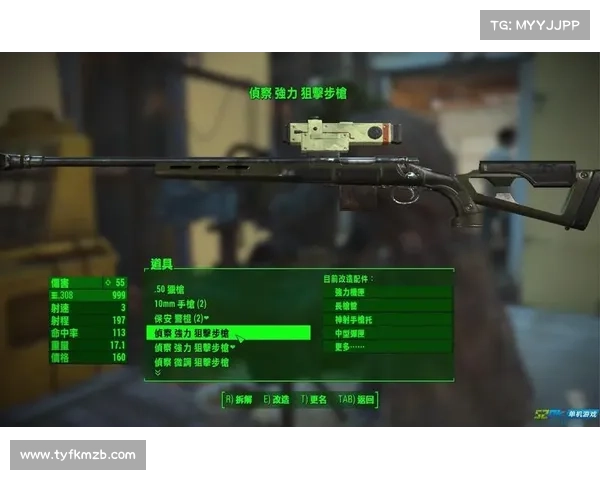 辐射4秘籍代码：掌握核心技巧